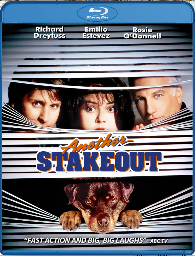 Another Stakeout (Mill Creek) - Blu-ray