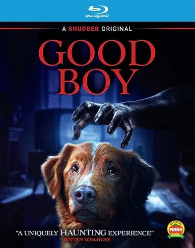 Good Boy (Shudder) - Blu-ray *USED*